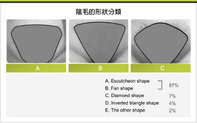 陰毛形狀